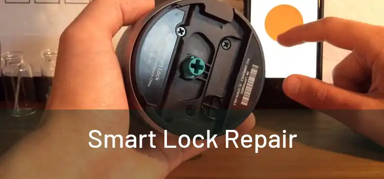 Smart Lock Repair